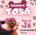 HIGPET - BANHO & TOSA - PILAR